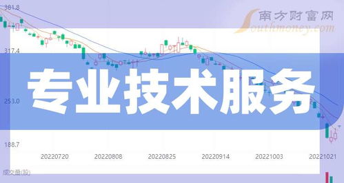 2025展望 解析“專業技術服務概念”及其與技術開發的核心關聯